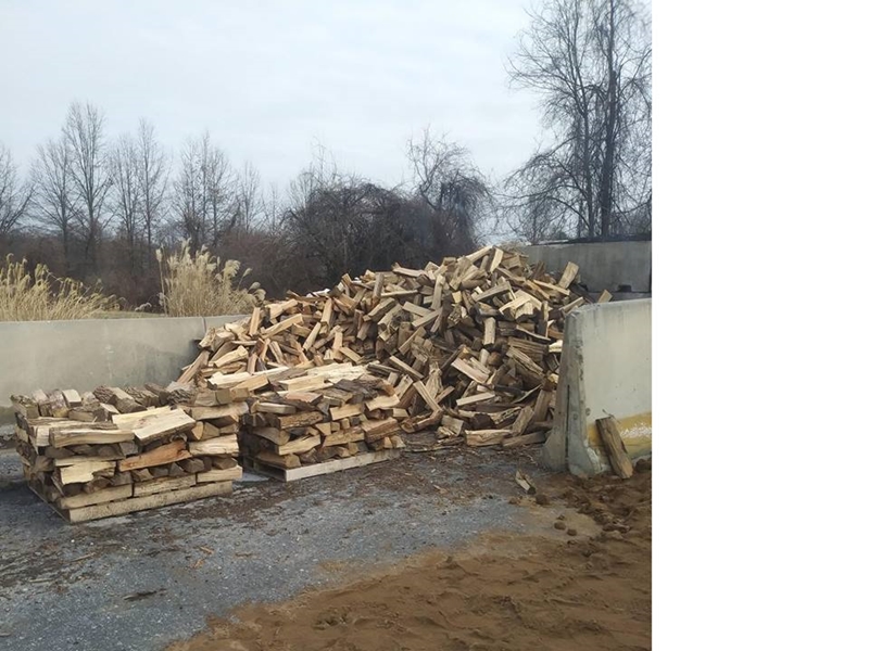 Firewood pile